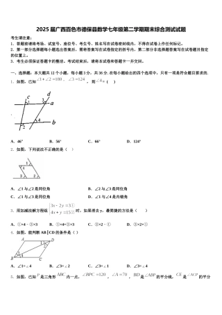 2025届广西百色市德保县数学七年级第二学期期末综合测试试题含解析
