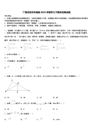 广西河池市天峨县2025年数学七下期末经典试题含解析