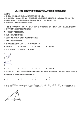 2025年广西省柳州市七年级数学第二学期期末检测模拟试题含解析