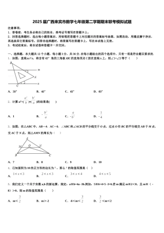2025届广西来宾市数学七年级第二学期期末联考模拟试题含解析