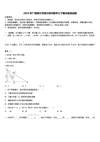 2025年广西南宁市西大附中数学七下期末监测试题含解析