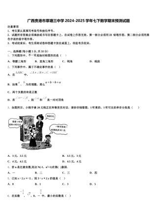 广西贵港市覃塘三中学2024-2025学年七下数学期末预测试题含解析