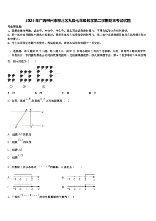 2025年广西柳州市柳北区九级七年级数学第二学期期末考试试题含解析