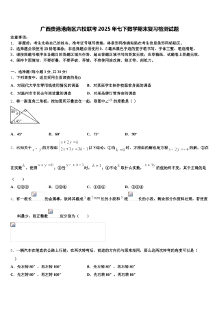 广西贵港港南区六校联考2025年七下数学期末复习检测试题含解析