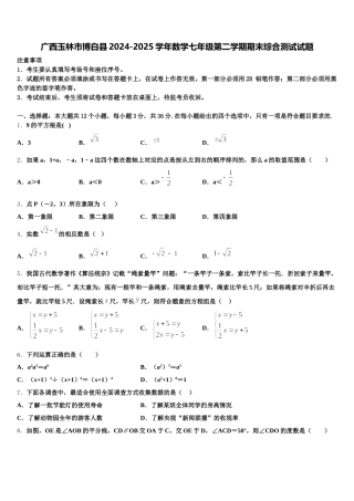 广西玉林市博白县2024-2025学年数学七年级第二学期期末综合测试试题含解析