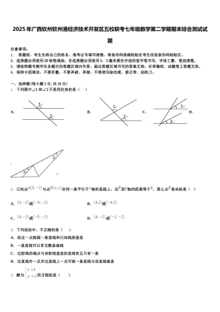 2025年广西钦州钦州港经济技术开发区五校联考七年级数学第二学期期末综合测试试题含解析