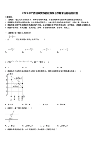 2025年广西省来宾市名校数学七下期末达标检测试题含解析