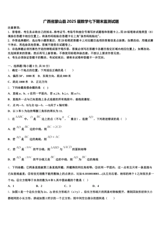广西省蒙山县2025届数学七下期末监测试题含解析