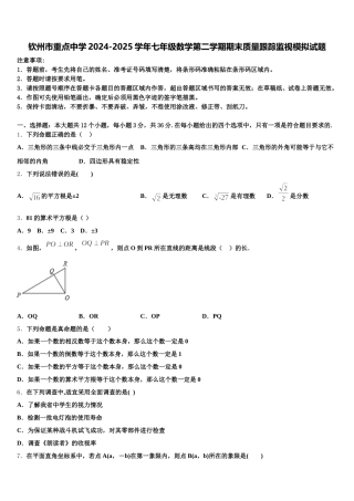 钦州市重点中学2024-2025学年七年级数学第二学期期末质量跟踪监视模拟试题含解析