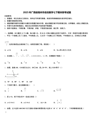 2025年广西省梧州市名校数学七下期末联考试题含解析