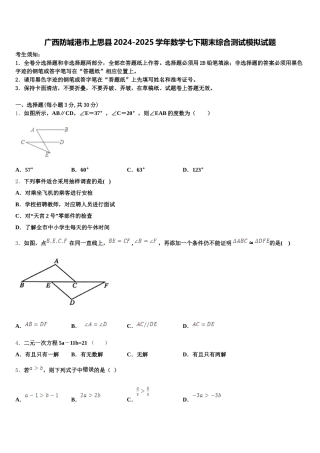 广西防城港市上思县2024-2025学年数学七下期末综合测试模拟试题含解析