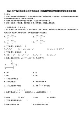 2025年广西壮族自治区河池市凤山县七年级数学第二学期期末学业水平测试试题含解析
