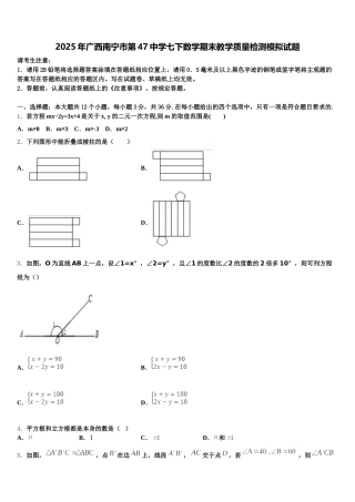 2025年广西南宁市第47中学七下数学期末教学质量检测模拟试题含解析