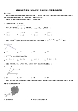 桂林市重点中学2024-2025学年数学七下期末经典试题含解析