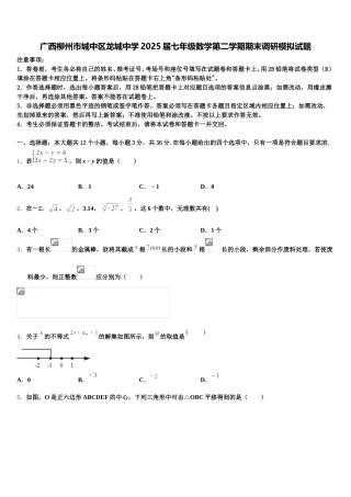 广西柳州市城中区龙城中学2025届七年级数学第二学期期末调研模拟试题含解析