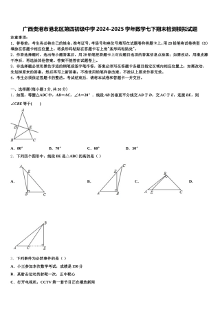 广西贵港市港北区第四初级中学2024-2025学年数学七下期末检测模拟试题含解析