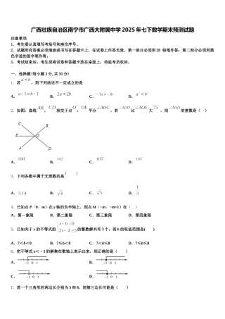 广西壮族自治区南宁市广西大附属中学2025年七下数学期末预测试题含解析