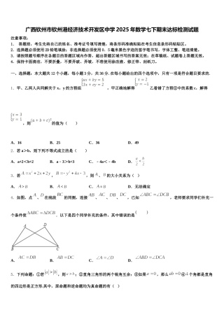 广西钦州市钦州港经济技术开发区中学2025年数学七下期末达标检测试题含解析