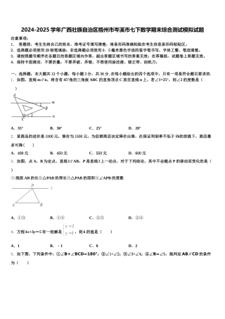 2024-2025学年广西壮族自治区梧州市岑溪市七下数学期末综合测试模拟试题含解析