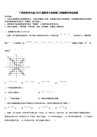 广西来宾市九级2025届数学七年级第二学期期末考试试题含解析