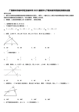 广西柳州市城中学区龙城中学2025届数学七下期末教学质量检测模拟试题含解析