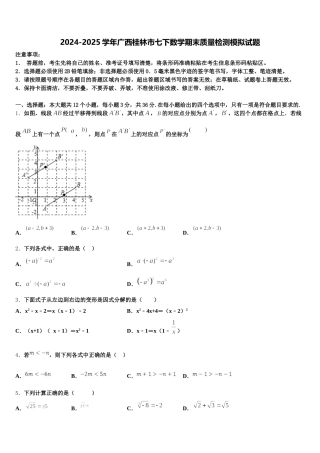 2024-2025学年广西桂林市七下数学期末质量检测模拟试题含解析
