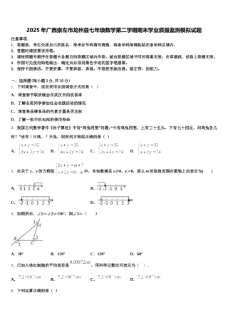 2025年广西崇左市龙州县七年级数学第二学期期末学业质量监测模拟试题含解析