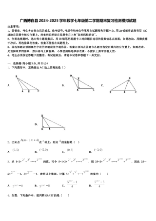 广西博白县2024-2025学年数学七年级第二学期期末复习检测模拟试题含解析