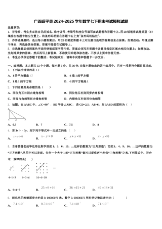 广西昭平县2024-2025学年数学七下期末考试模拟试题含解析