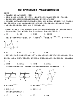 2025年广西省防城港市七下数学期末调研模拟试题含解析