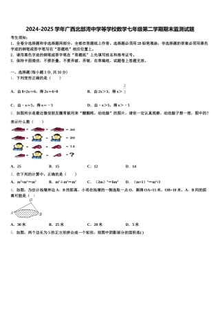 2024-2025学年广西北部湾中学等学校数学七年级第二学期期末监测试题含解析
