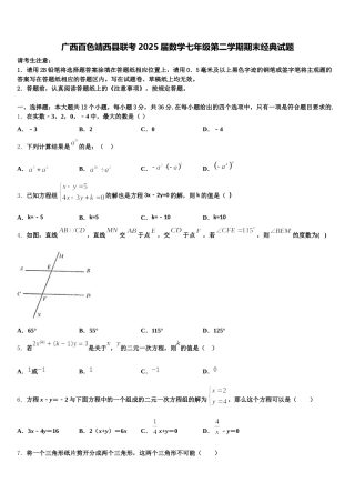 广西百色靖西县联考2025届数学七年级第二学期期末经典试题含解析