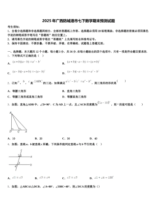 2025年广西防城港市七下数学期末预测试题含解析