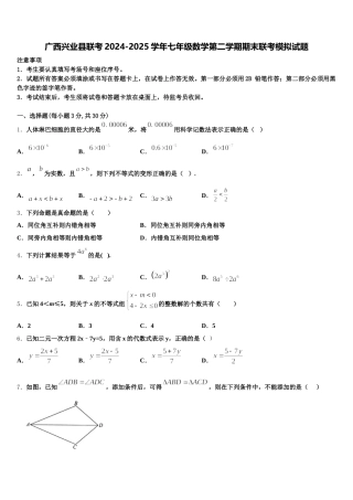 广西兴业县联考2024-2025学年七年级数学第二学期期末联考模拟试题含解析