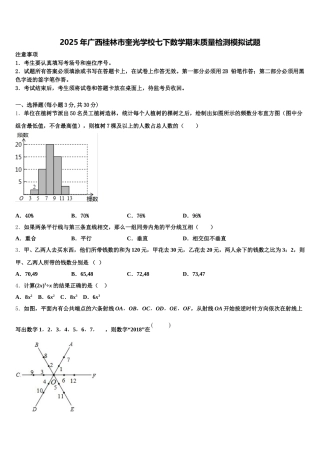 2025年广西桂林市奎光学校七下数学期末质量检测模拟试题含解析