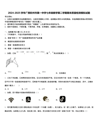 2024-2025学年广西钦州市第一中学七年级数学第二学期期末质量检测模拟试题含解析