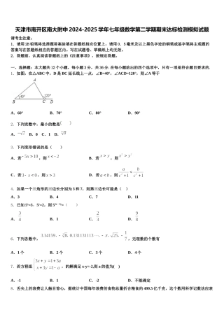 天津市南开区南大附中2024-2025学年七年级数学第二学期期末达标检测模拟试题含解析