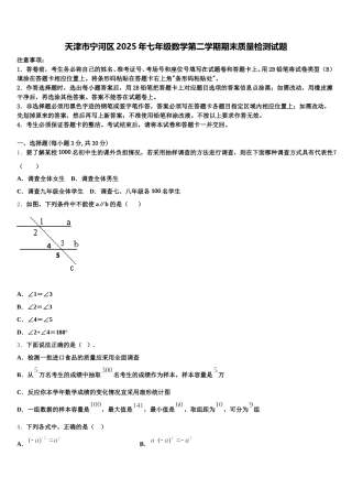 天津市宁河区2025年七年级数学第二学期期末质量检测试题含解析