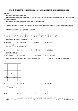 天津市滨海新区枫叶国际学校2024-2025学年数学七下期末调研模拟试题含解析