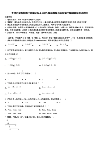天津市河西区梅江中学2024-2025学年数学七年级第二学期期末调研试题含解析