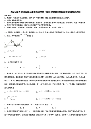 2025届天津河西区天津市海河中学七年级数学第二学期期末复习检测试题含解析