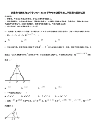 天津市河西区梅江中学2024-2025学年七年级数学第二学期期末监测试题含解析