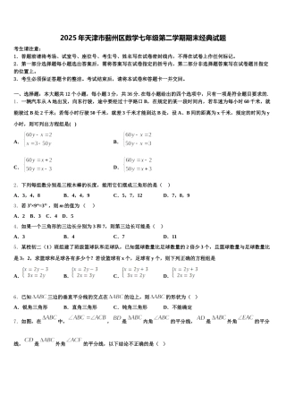 2025年天津市蓟州区数学七年级第二学期期末经典试题含解析