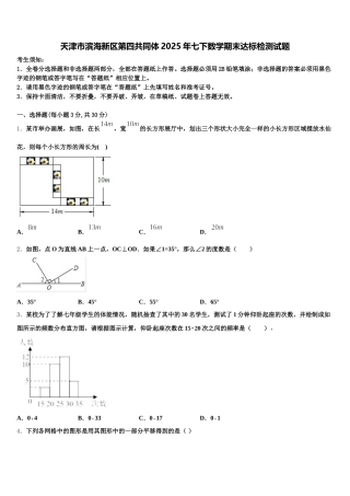 天津市滨海新区第四共同体2025年七下数学期末达标检测试题含解析