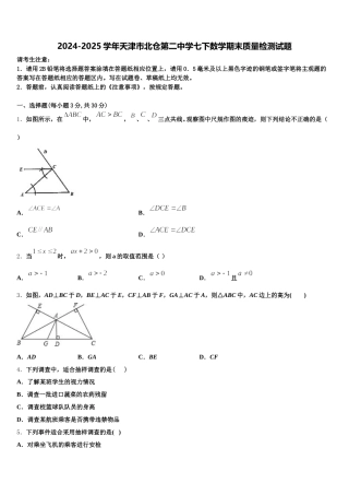 2024-2025学年天津市北仓第二中学七下数学期末质量检测试题含解析