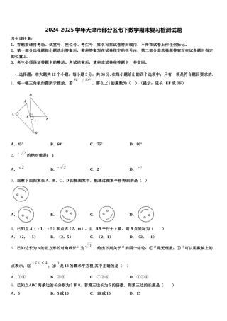 2024-2025学年天津市部分区七下数学期末复习检测试题含解析