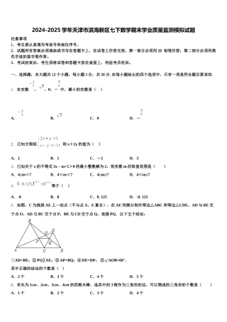 2024-2025学年天津市滨海新区七下数学期末学业质量监测模拟试题含解析