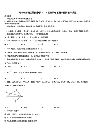 天津市河西区第四中学2025届数学七下期末监测模拟试题含解析