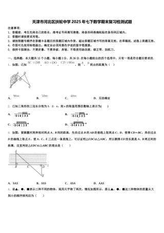 天津市河北区扶轮中学2025年七下数学期末复习检测试题含解析