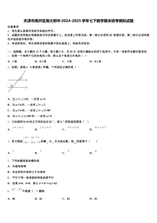 天津市南开区南大附中2024-2025学年七下数学期末统考模拟试题含解析